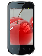 Best available price of Celkon A19 in Latvia
