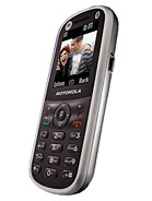 Best available price of Motorola WX288 in Latvia