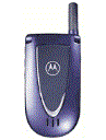 Best available price of Motorola V66i in Latvia